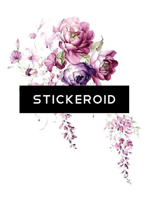 Flower Border Watercolor - Тату Цветы Акварель Эскизы (489x651), Png Download