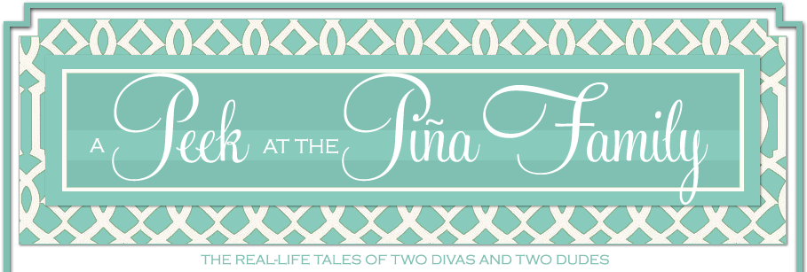 A Peek At The Pina Family - Calligraphy (919x349), Png Download