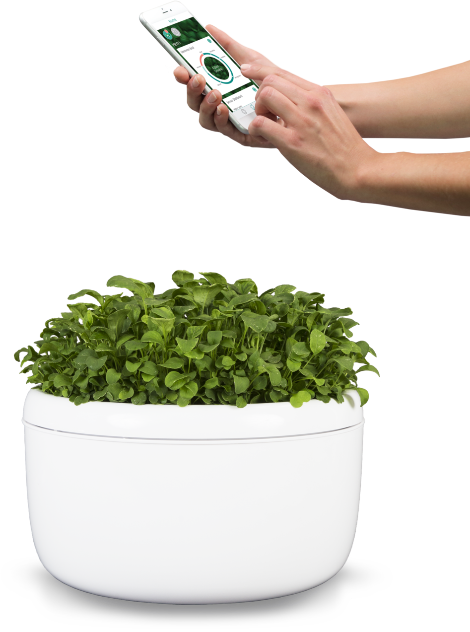 No Hands Required4 Lighter - Flowerpot (1000x1363), Png Download