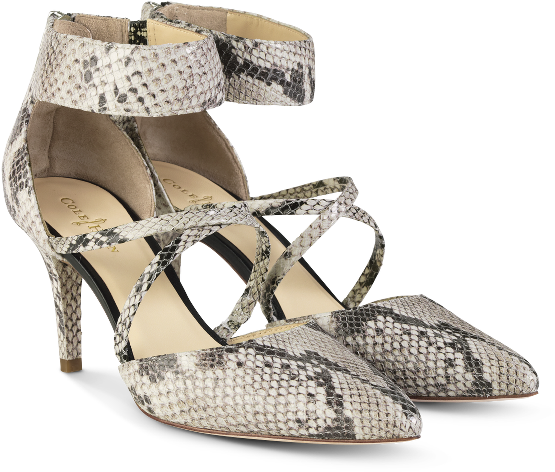 Trella Pump {in Sahara Snake Print} - Cole Haan 明星 (2000x2000), Png Download