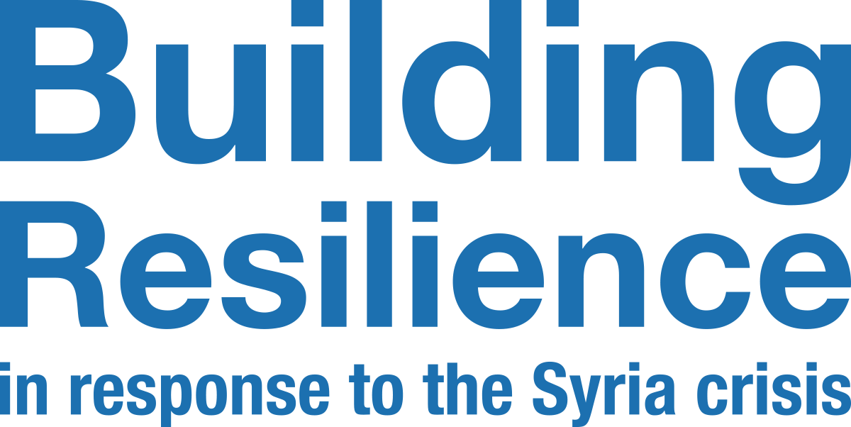 Building Resilience In Response To The Syria Crisis (1200x602), Png Download