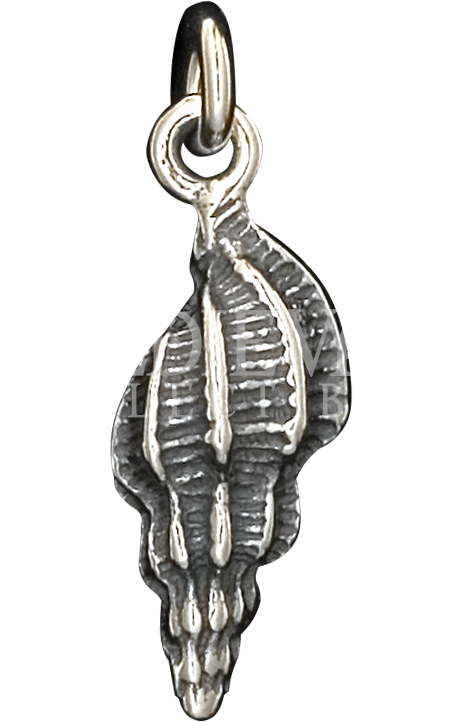 3d Conch Shell Pendant - Sea Themed Pendant (721x721), Png Download