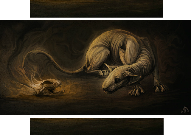 Banner - Ferret (660x471), Png Download