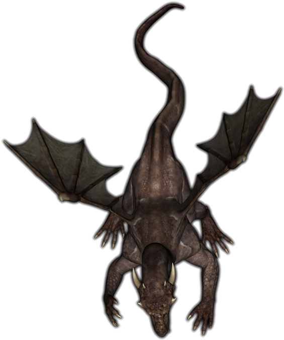 Dragon - Roll20 Warhammer Fantasy (585x696), Png Download