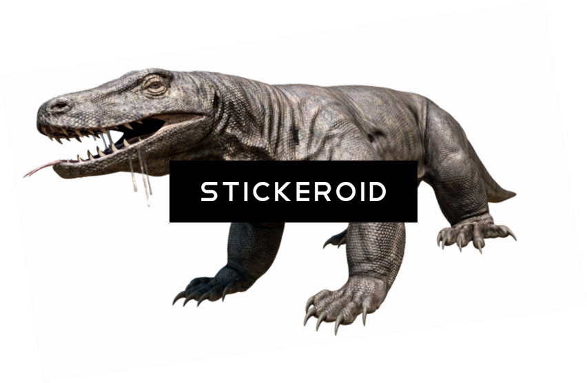 Komodo Dragon Hd (852x556), Png Download