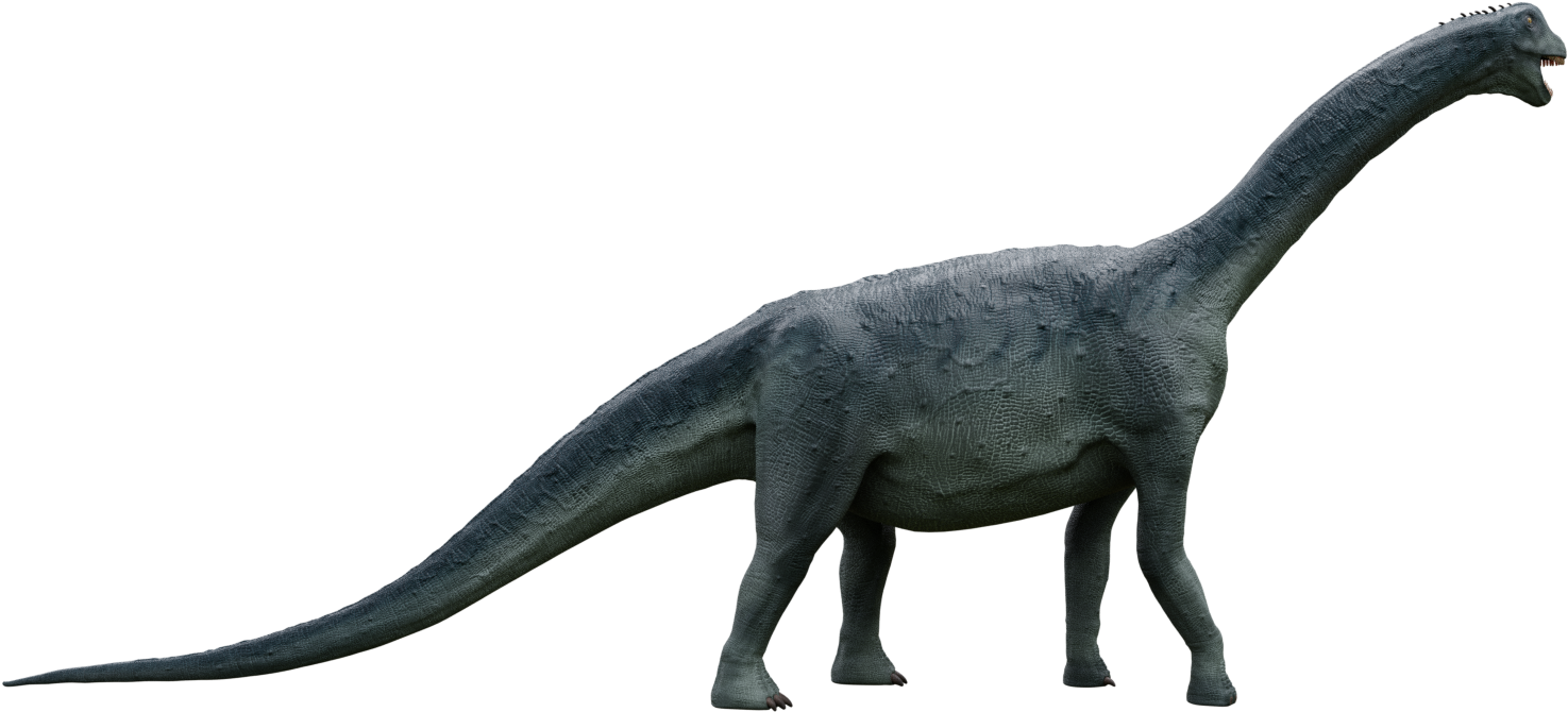 Camarasaurus - Tyrannosaurus (1920x1080), Png Download
