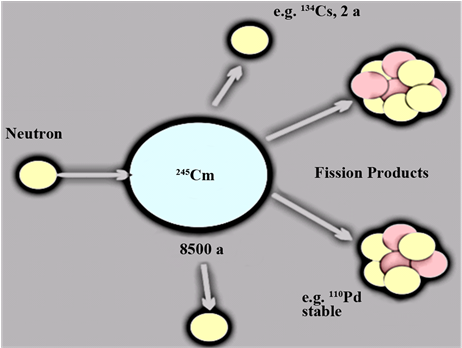 Transmutation Of 245cm Isotope Using Neutron In Ads (902x347), Png Download