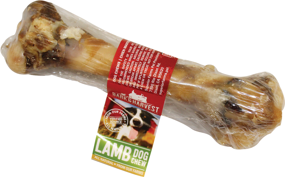 Lamb Gnawer - Lamb And Mutton (1200x783), Png Download