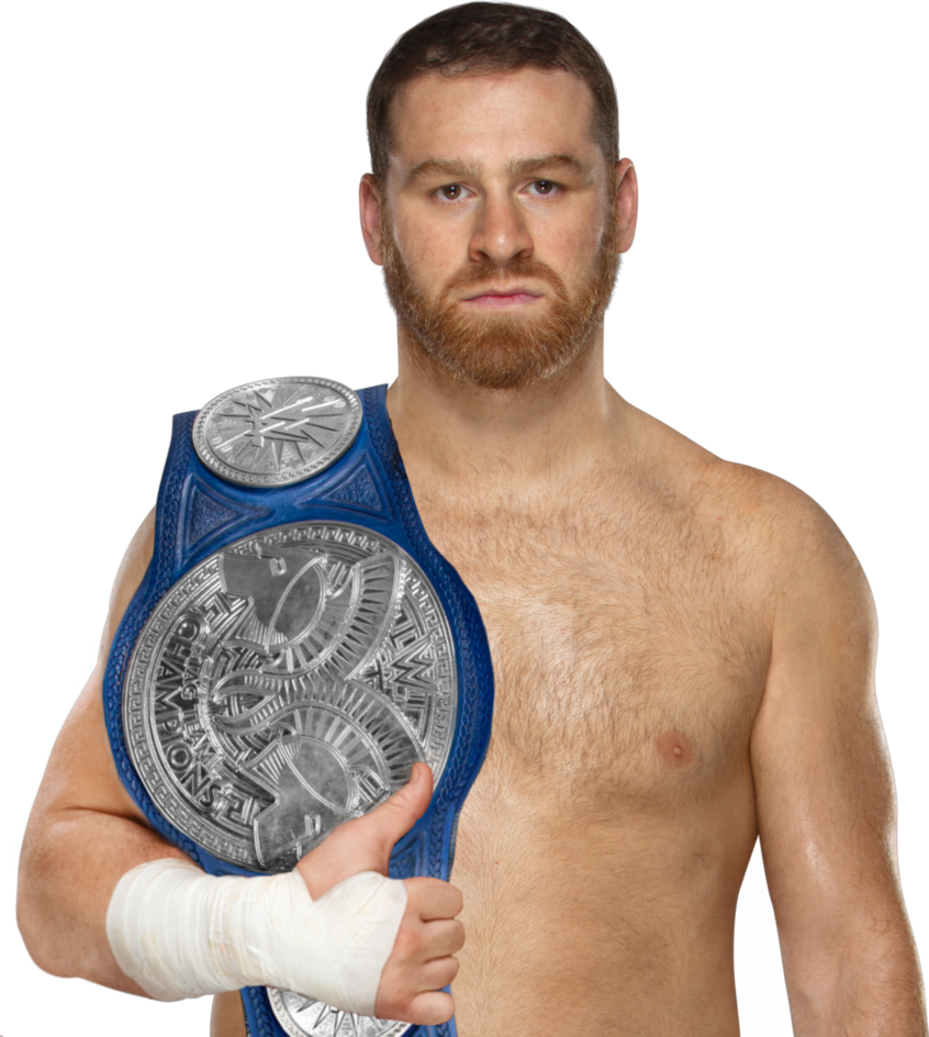 Sami Zayn Png - Sami Zayn (846x944), Png Download