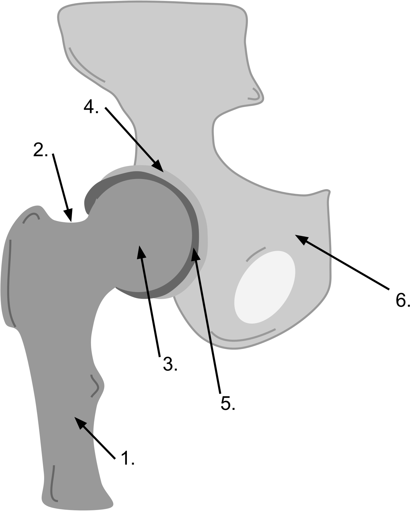 Open - Ball And Socket Joint Drawing (2000x2063), Png Download