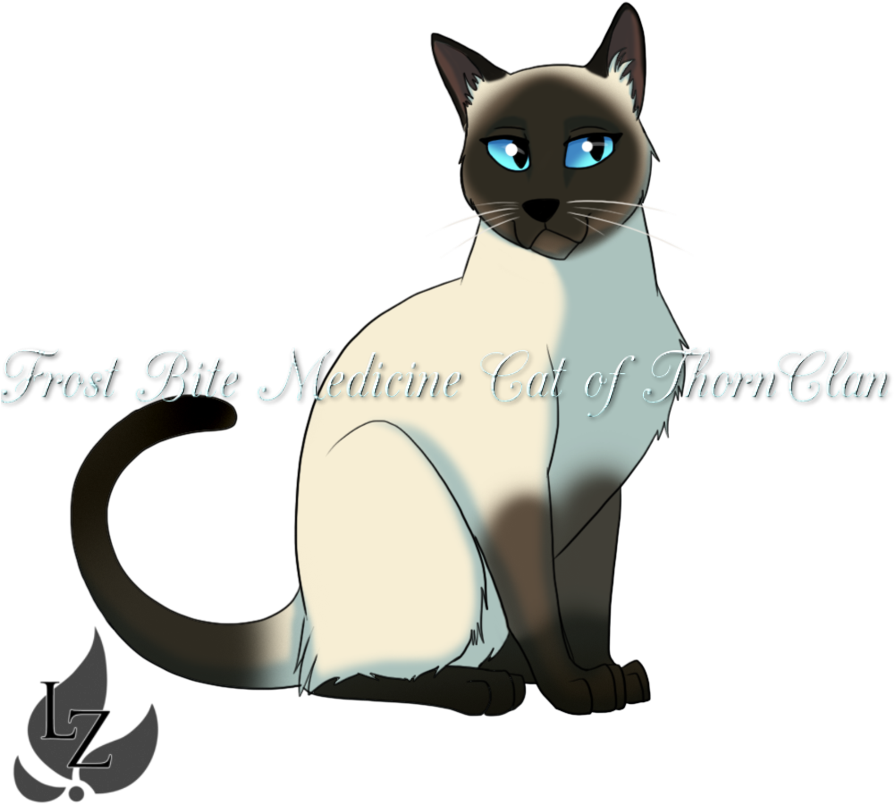 Siamese Cat By Zavraan-d8v2389izt - Cute Siamese Cat Drawing (894x894), Png Download