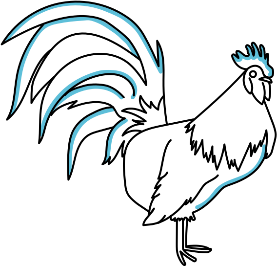 Rooster - Croquis De Un Gallo (853x640), Png Download