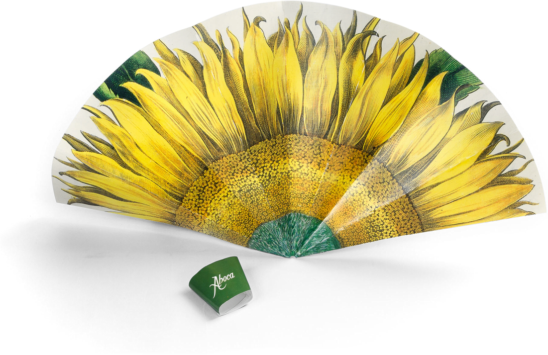 Picture Of Flower Fan Sunflower - Large Sunflower (flos Solis Maior), Plate 1 713 Edition (1280x1280), Png Download