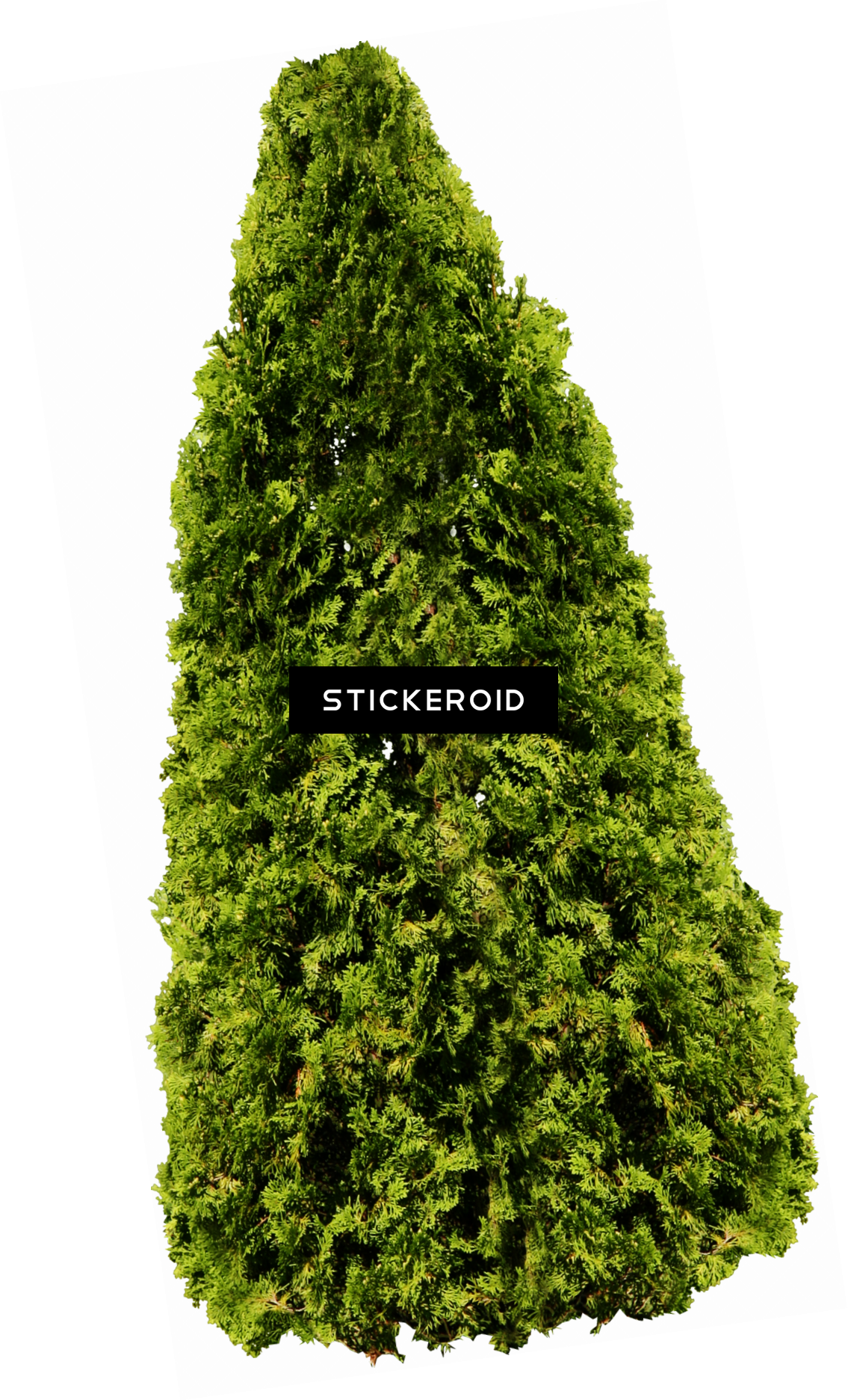 Tree - Tree Png (1135x1872), Png Download