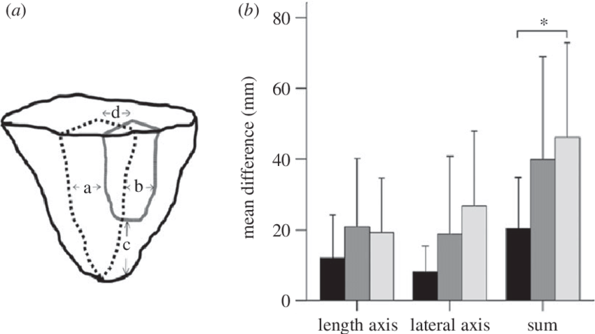 The Measurements Made On Predicted (black Dotted Lines) - Sketch (850x477), Png Download
