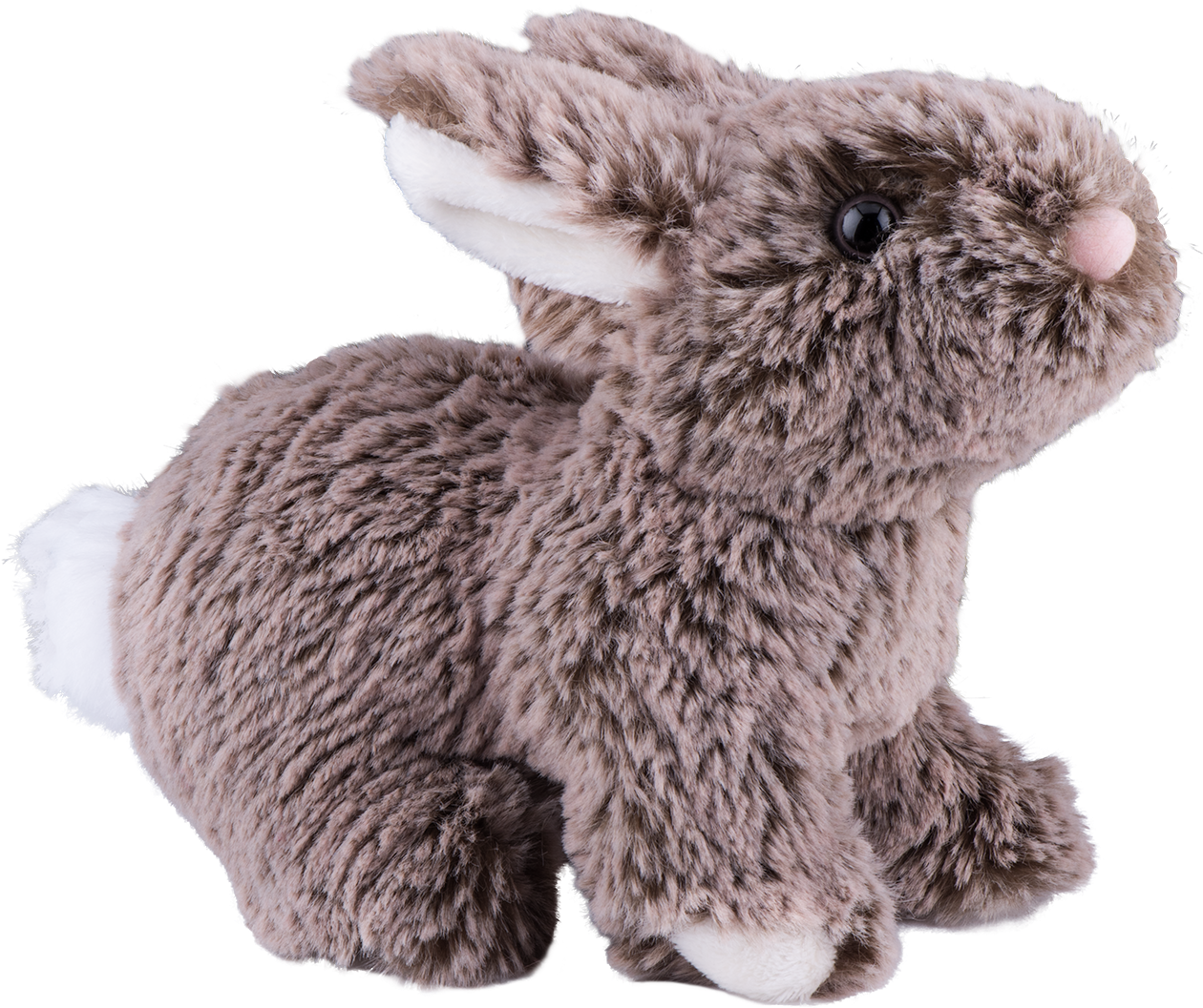 Stuffed Toy (2000x1335), Png Download