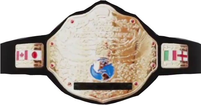 The Twe World Heavyweight Championship Is A Professional - Cartoon (720x480), Png Download