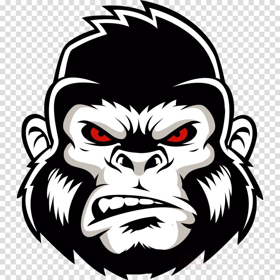 Gorilla Head Logo Clipart Western Gorilla Ape - Gorilla Logo (900x900), Png Download