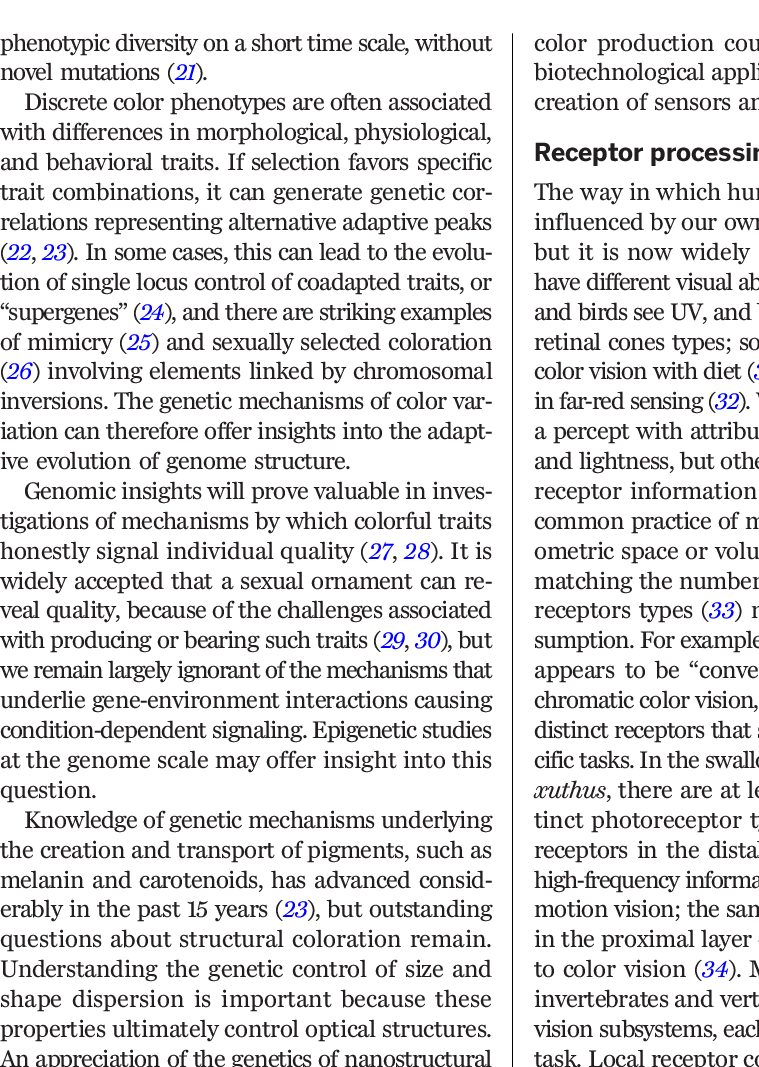 Download - Goose Tower In Vordingborg, Zealand (759x1067), Png Download