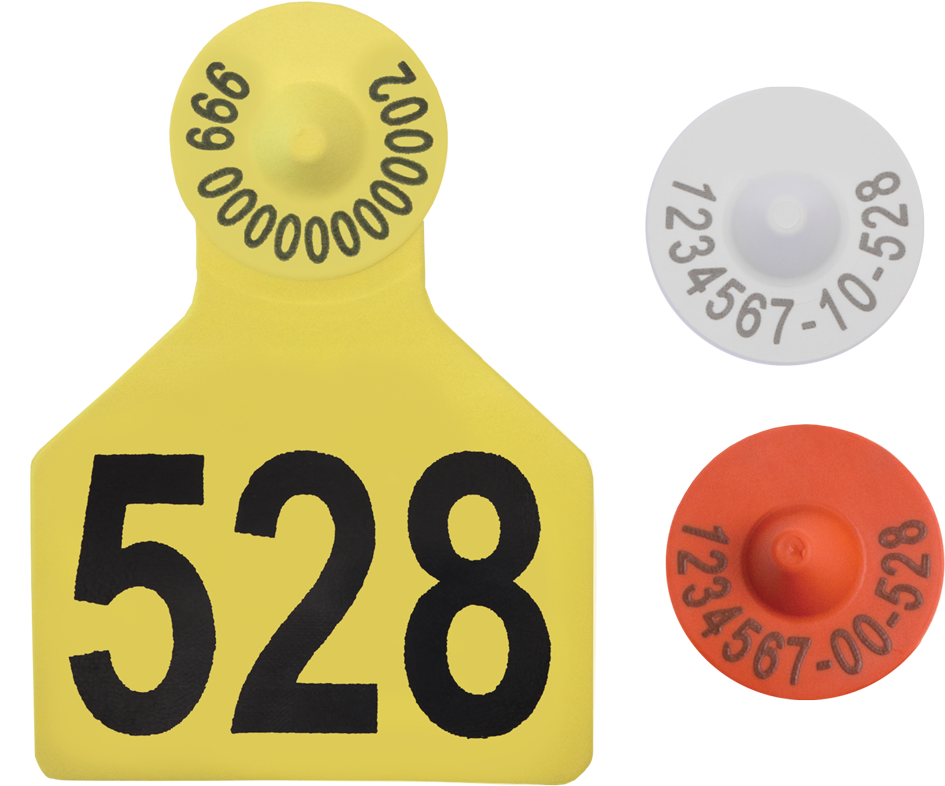 Electronic Tags - Tera Computer Kepanjen (1010x900), Png Download