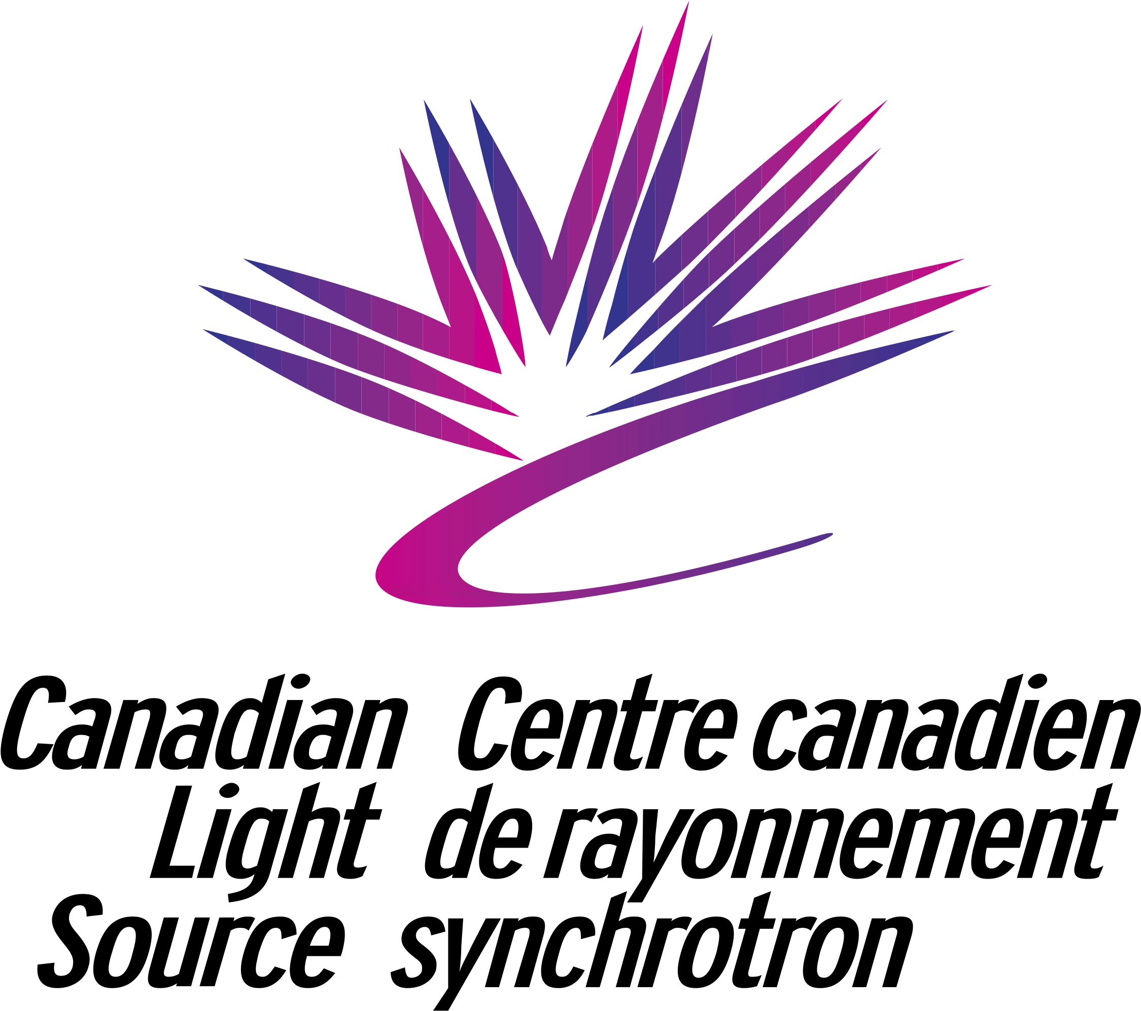 Download Canadian Light Source Logo Png Transparent - Canadian Light ...