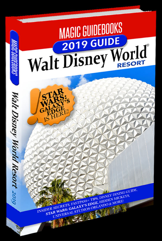 We Review All Of The Popular Walt Disney World Resort (553x822), Png Download