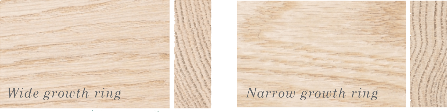 Growth Ring - Wood (1600x402), Png Download