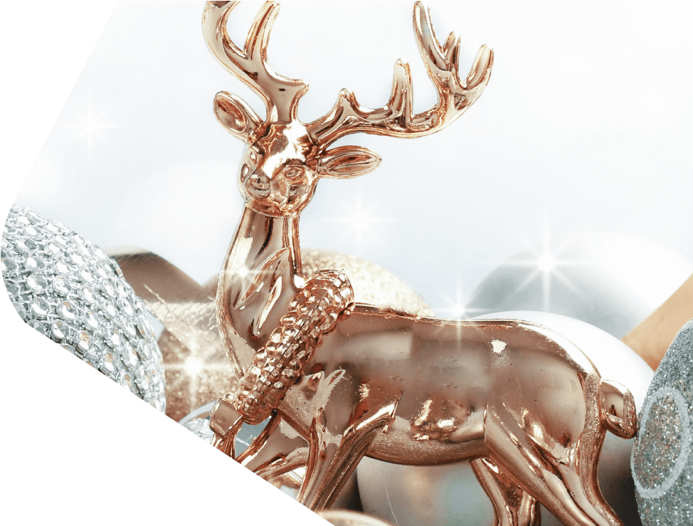 Conoce Más - Christmas Day (1000x738), Png Download