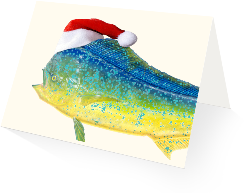 Merry Mahi Mahi Holiday Card - Art (1024x825), Png Download