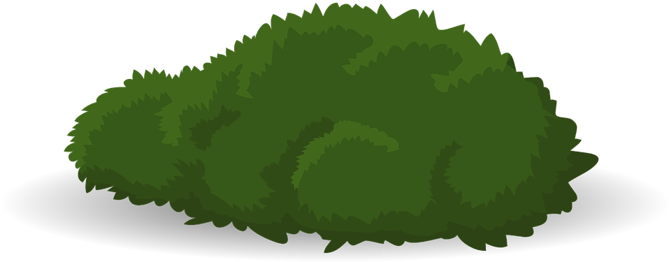 Butternut Squash Png - Transparant Bush (960x480), Png Download