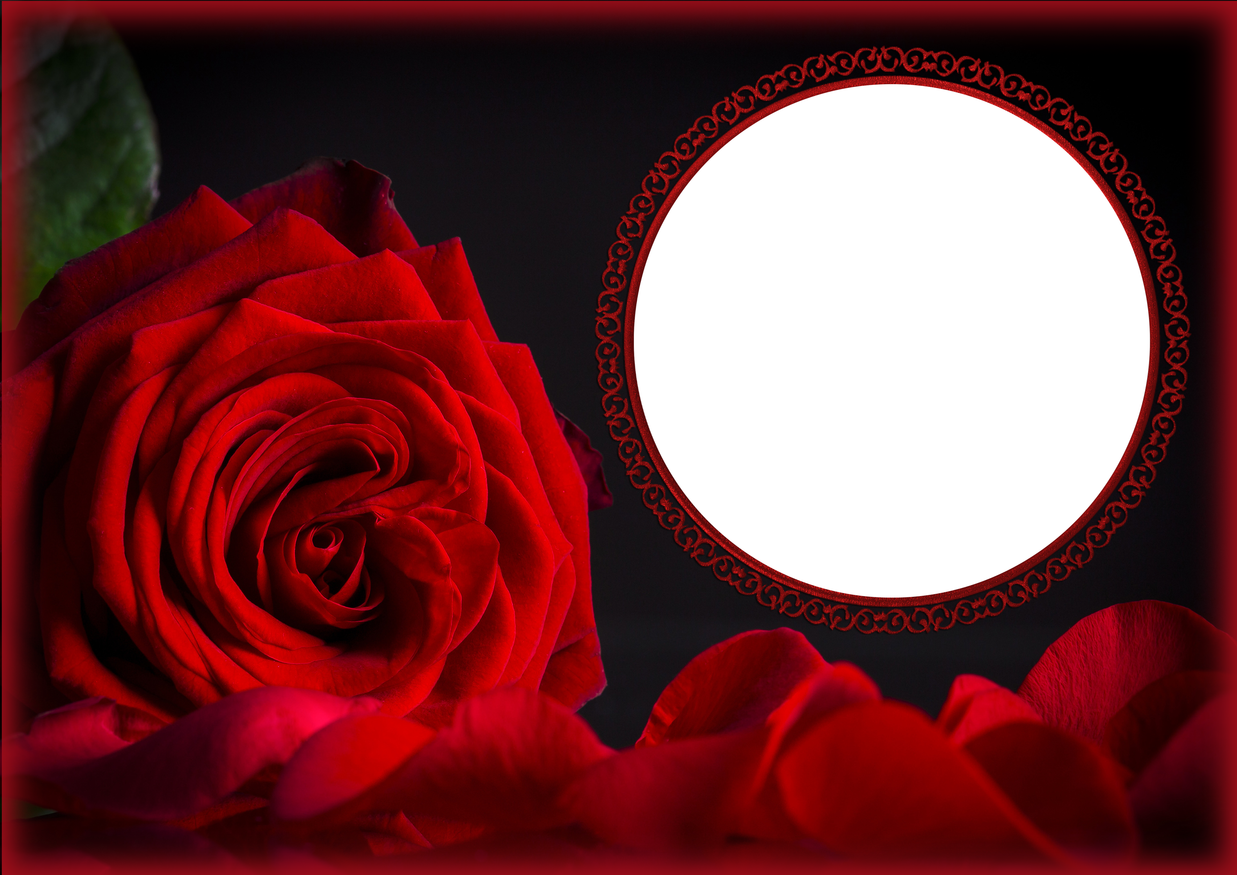 Rose Garden Png (4000x2828), Png Download
