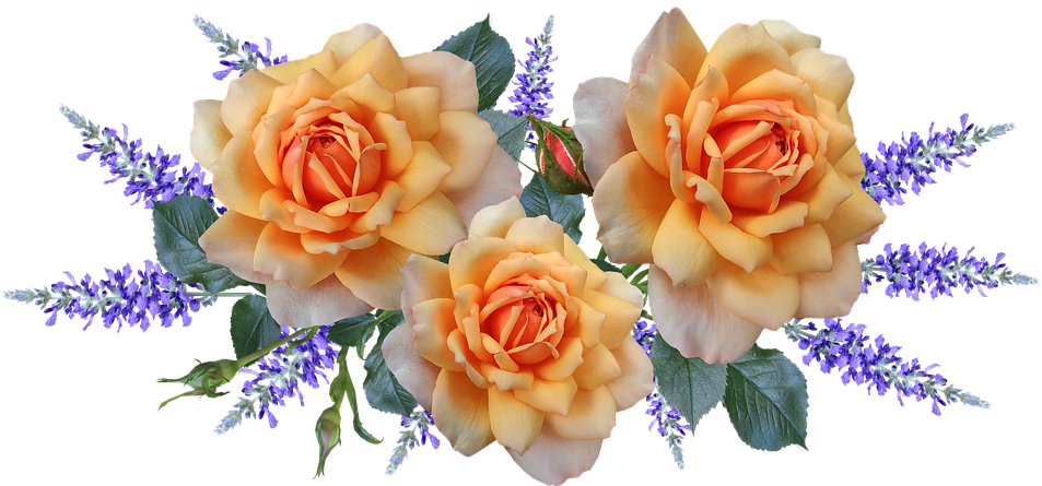 Flowers, Roses, Arrangement, Perfume, Garden, Nature - Perfume (960x444), Png Download