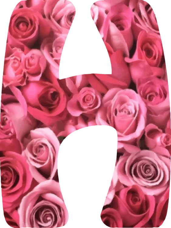 Garden Roses Flower Computer Icons - Red Rose Flower Alphabet (563x750), Png Download