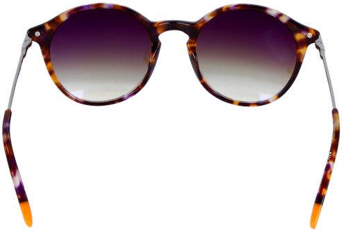 Fleck Goggles Sunglasses Round Ray-ban Free Download - Ray-ban Round Fleck (840x430), Png Download