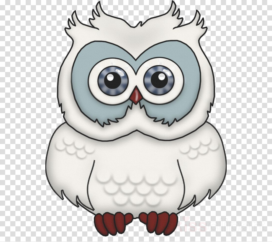 Owl (900x800), Png Download