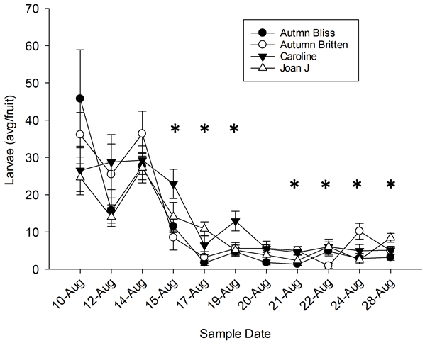 Average Number Of Larvae Per Fruit Over Time By Varieties - Diagram (903x483), Png Download
