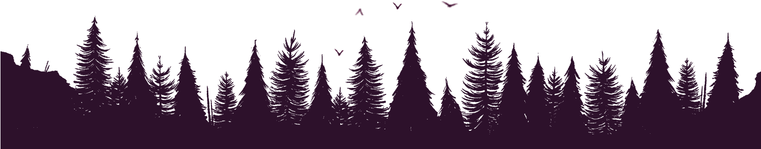Spruce-fir Forest (1500x455), Png Download
