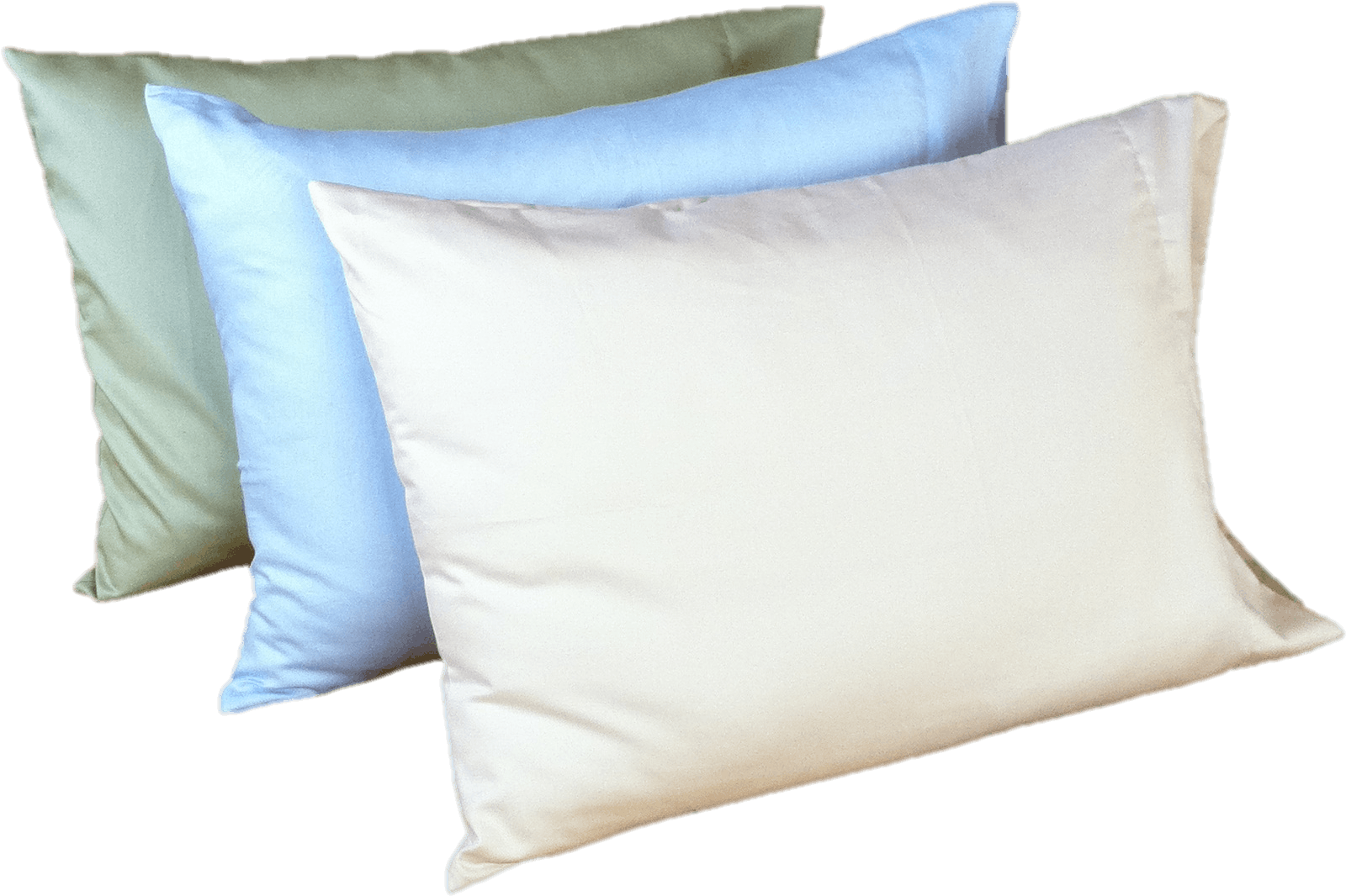 The White Lotus Home Newsletter Is The Fastest Way - Cushion (1936x2378), Png Download