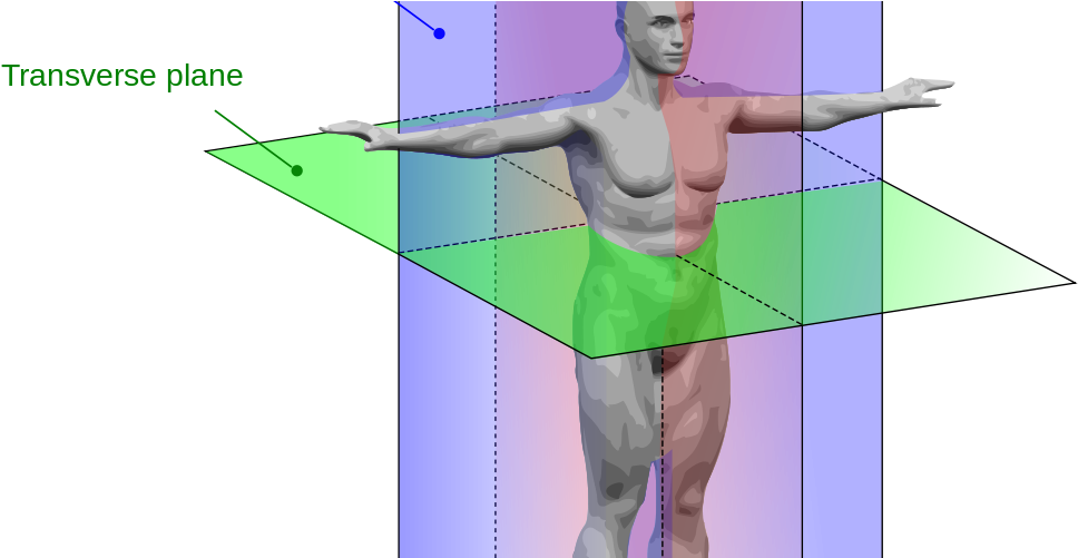 Body Orientation (1000x500), Png Download