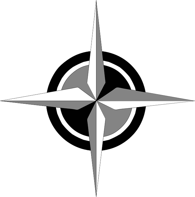 Map, Cartography, Compass, Compass Rose, Wind Rose - Compass Rose (633x640), Png Download