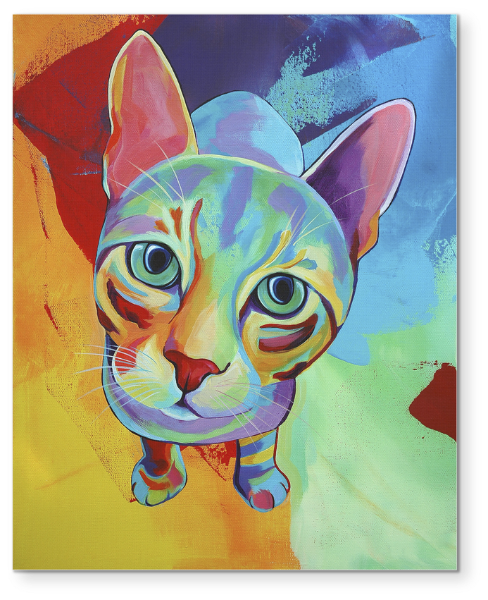 Premium Cat Art Collection - Trademark Art 'ace Cat' Print On Wrapped Canvas (1024x1024), Png Download