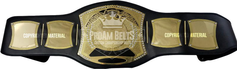 [ Click To View More Samples Of This Belt ] - Customized Championship Belts (800x347), Png Download
