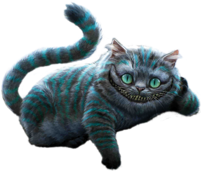 Cheshire Cat Png Photos - Alice In Wonderland Cheshire Cat (800x669), Png Download