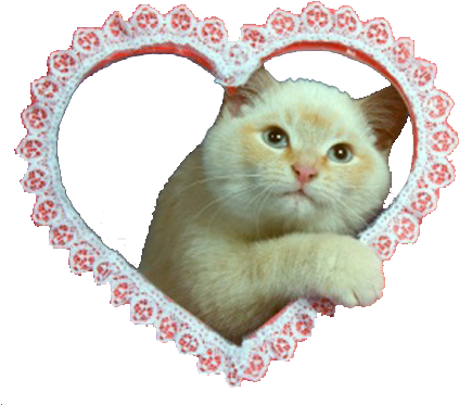 Cat Mine Cats Heart Png Transparent Soft Grunge - Soft Grunge Png (500x548), Png Download