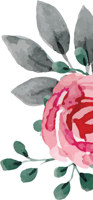 Collections - Illustration (325x698), Png Download