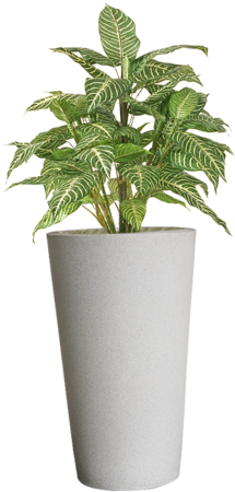 Flower Pots Png Png Stock - Plant In Pot Png (293x500), Png Download