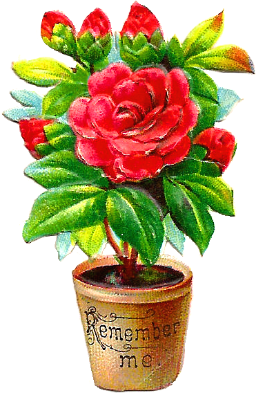 Free Flower Clip Art - Flower Pot Png Png (658x846), Png Download
