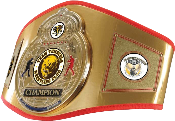 Junior B4b Belt - Title Boxing Title Mma Gold Flash Championship Title (757x510), Png Download