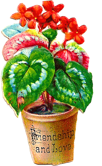 Free Flower Graphic - Flowerpot (658x846), Png Download