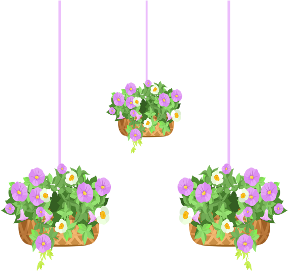 Hanging Flower Pots Illustration, Flowers, Pot, Hanging - Illustration (640x640), Png Download